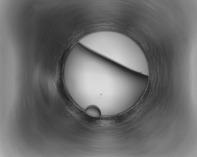 X0000116590255200912101338