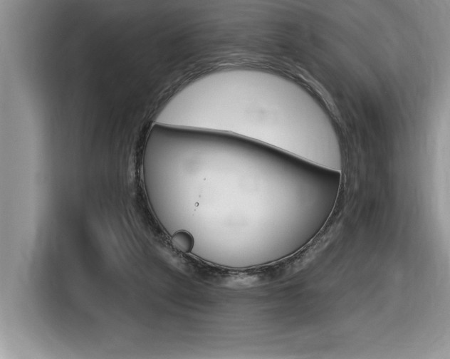 X0000116590257200912101338