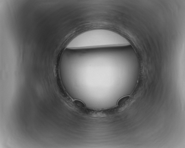 X0000116590258200912101338