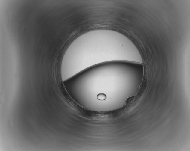 X0000116590260200912101338