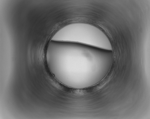 X0000116590261200912101338