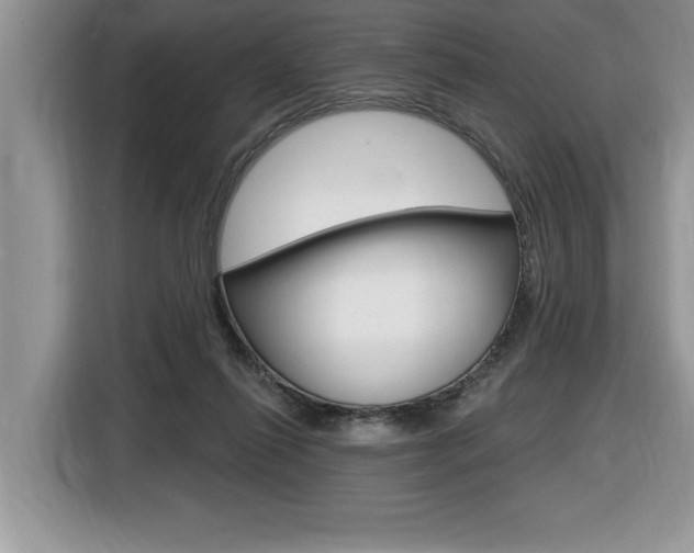 X0000116590262200912101338