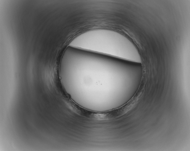 X0000116590265200912101338
