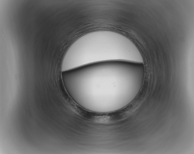 X0000116590266200912101338