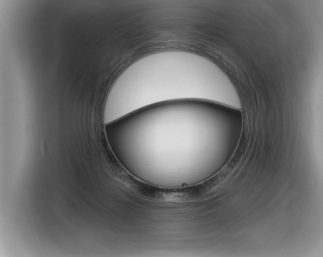 X0000116590268200912101339