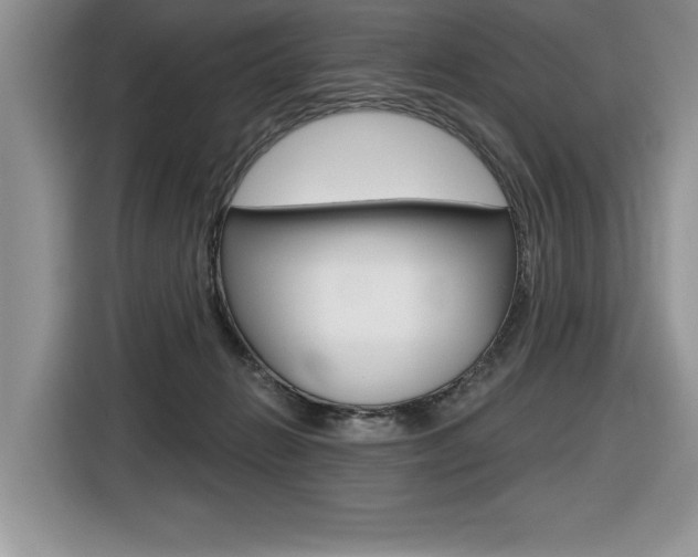X0000116590270200912101339