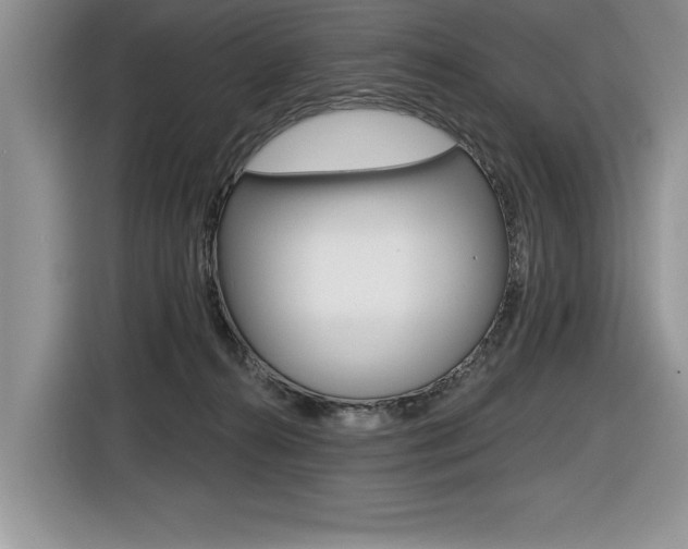 X0000116590272200912101339