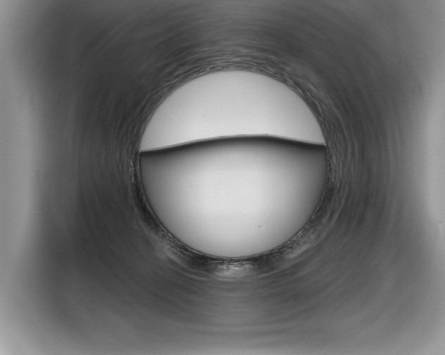 X0000116590274200912101339