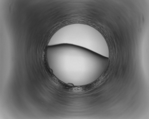 X0000116590279200912101339