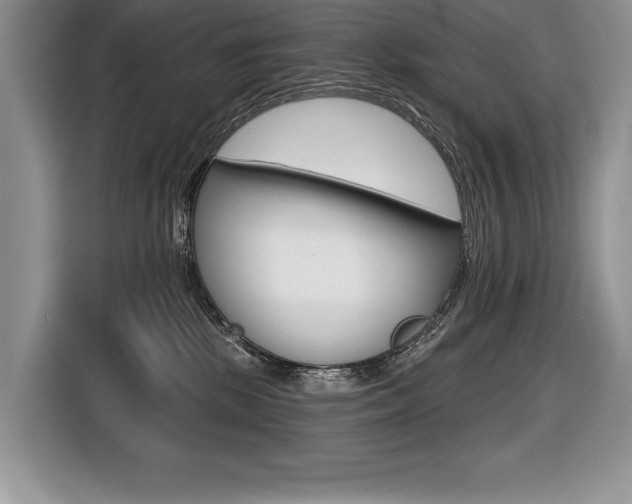 X0000116590281200912101339