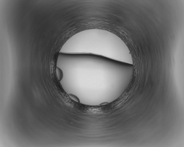 X0000116590283200912101339