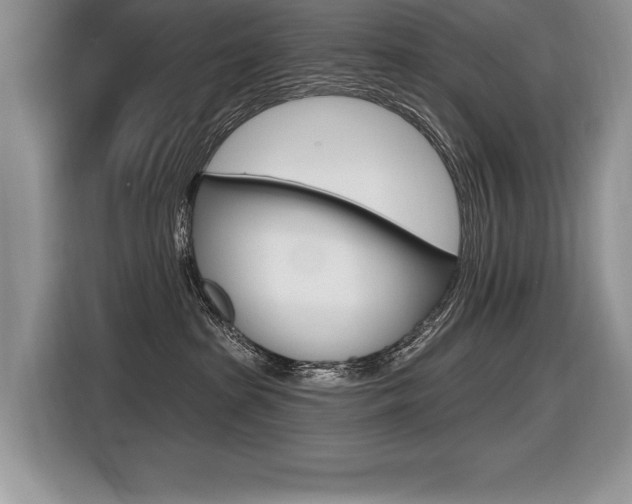 X0000116590285200912101339