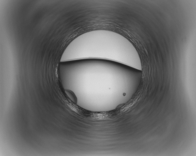 X0000116590286200912101339