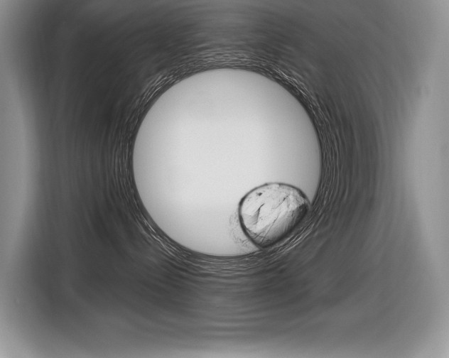 X0000116590288200912101339