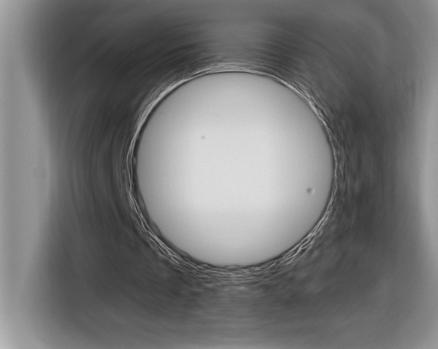 X0000116590289200912101338