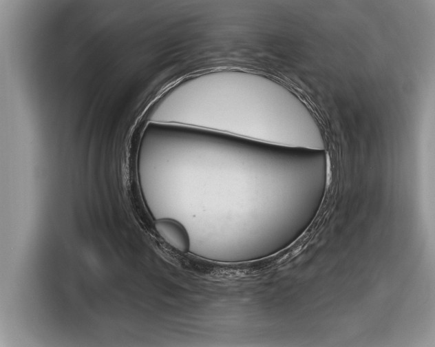 X0000116590291200912101338