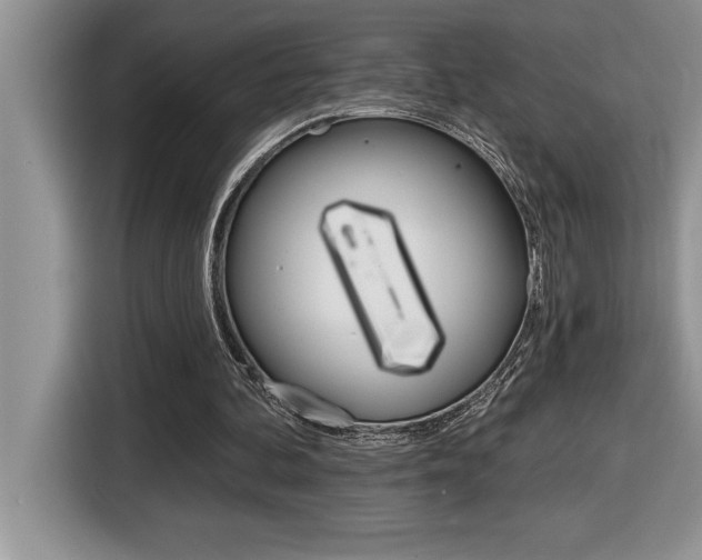 X0000116590292200912101338