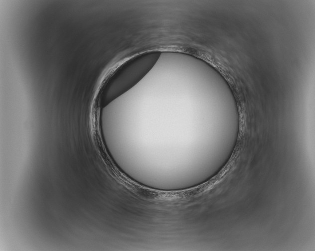 X0000116590294200912101338