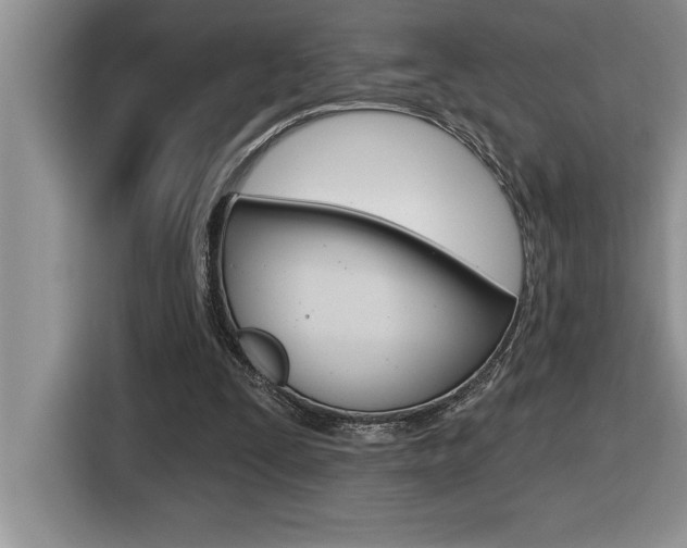 X0000116590295200912101338