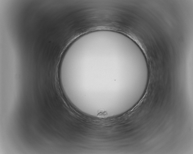 X0000116590297200912101338
