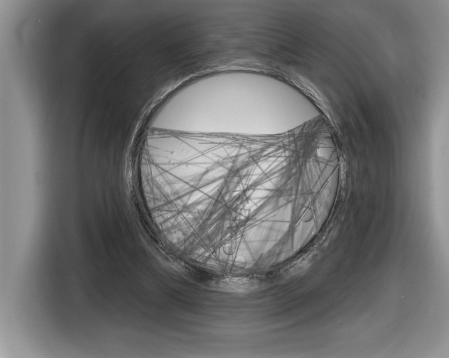X0000116590298200912101338