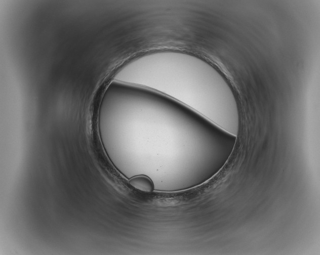 X0000116590299200912101338