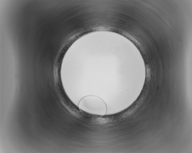X0000116590302200912101338