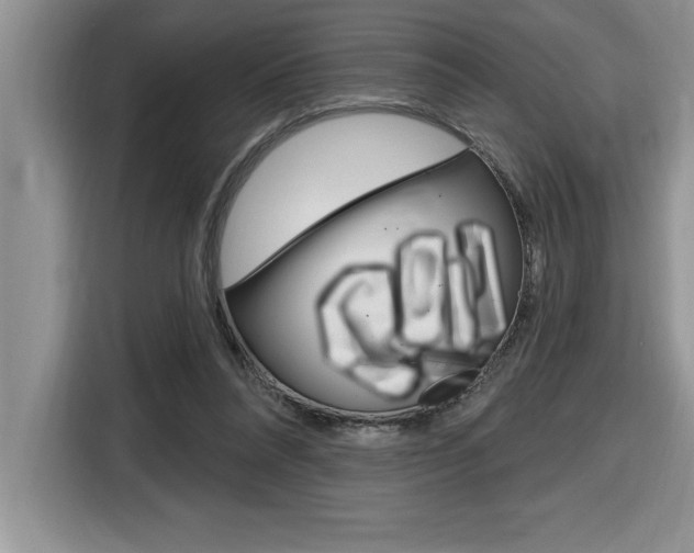 X0000116590304200912101338