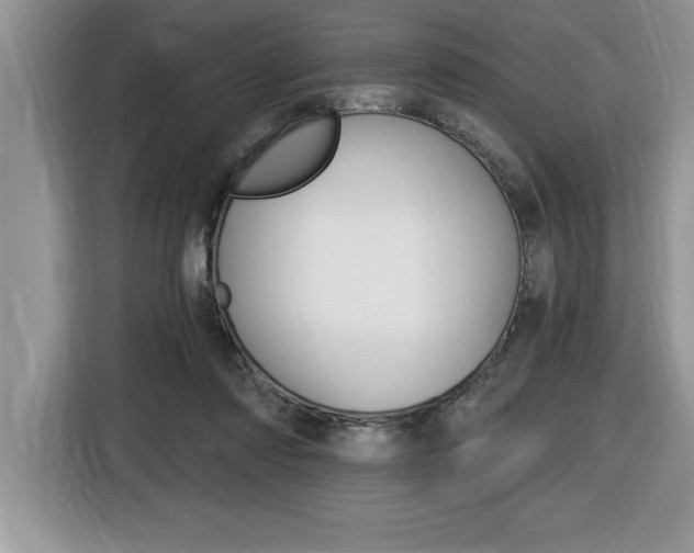 X0000116590310200912101338