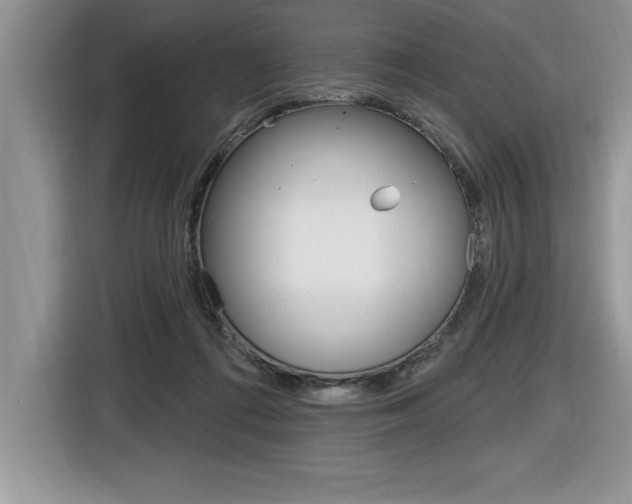 X0000116590312200912101338