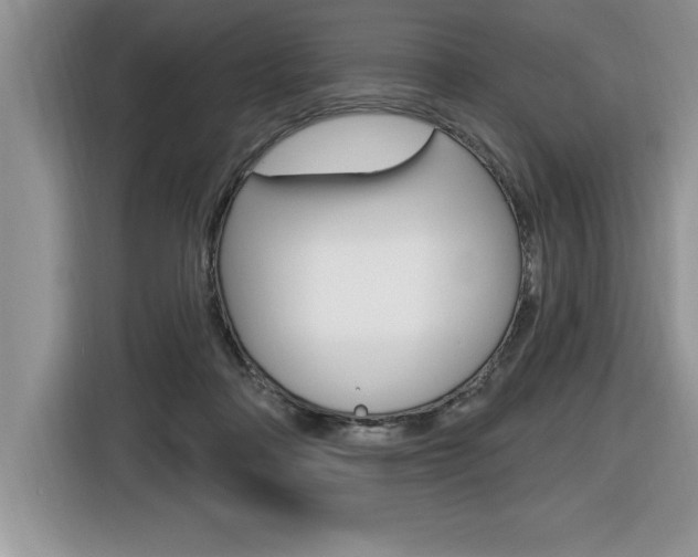 X0000116590314200912101338
