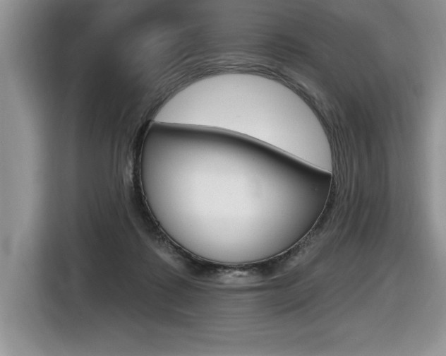 X0000116590315200912101338