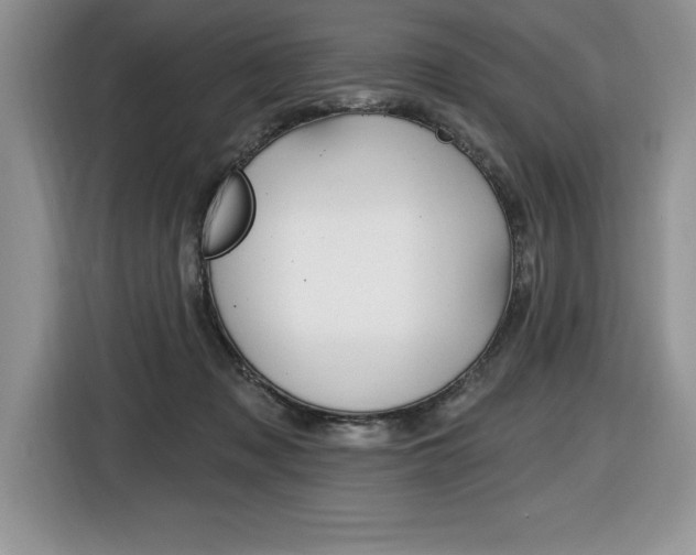 X0000116590317200912101338