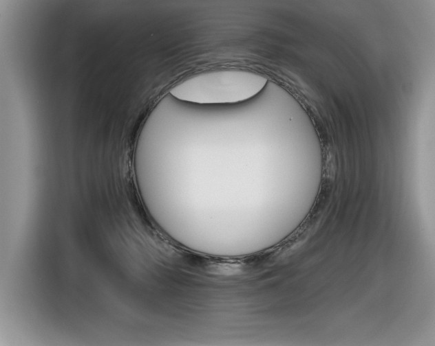 X0000116590318200912101338