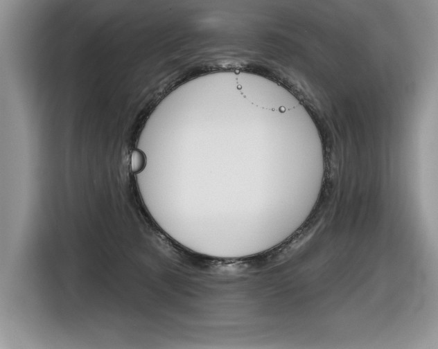 X0000116590321200912101338