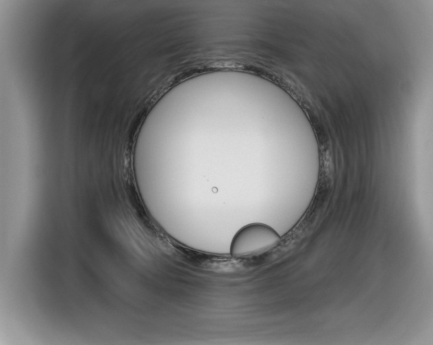 X0000116590322200912101337