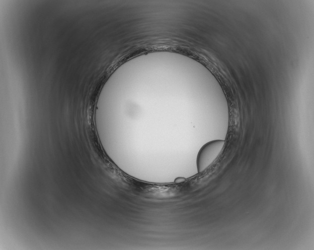 X0000116590326200912101337