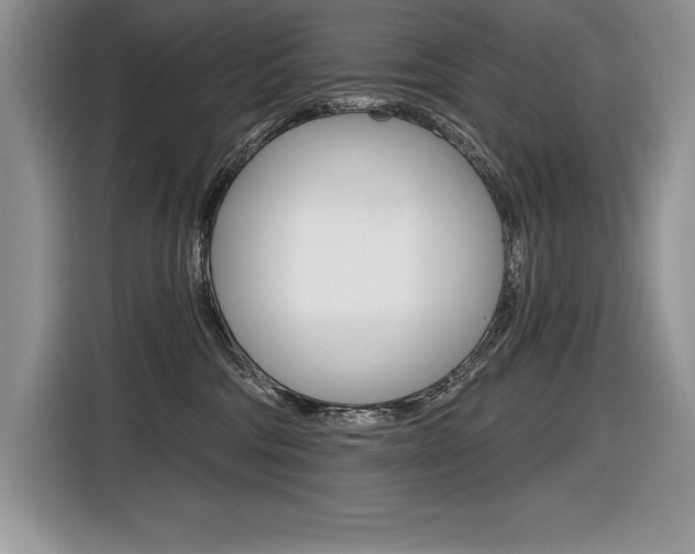 X0000116590330200912101337