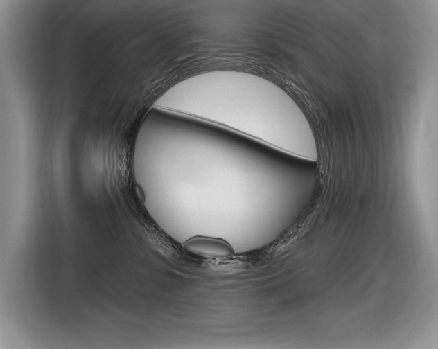 X0000116590331200912101337