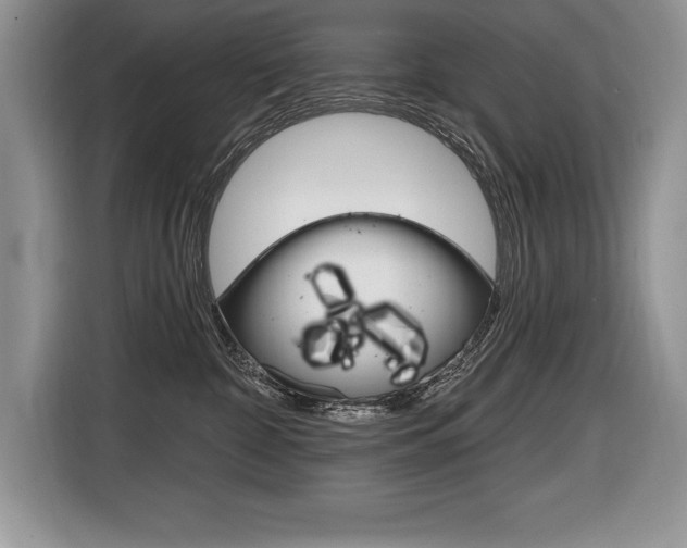 X0000116590332200912101337