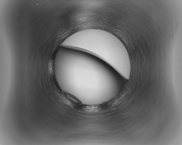 X0000116590335200912101337