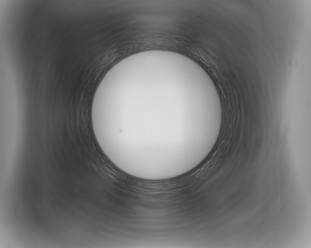 X0000116590336200912101337