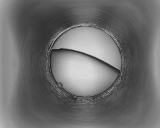 X0000116590337200912101337