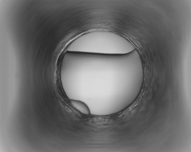 X0000116590338200912101337