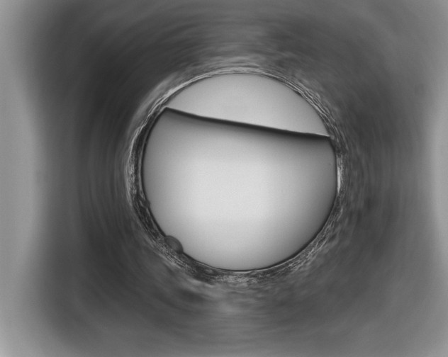 X0000116590339200912101337