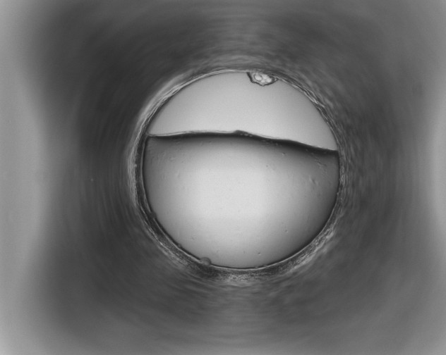X0000116590341200912101337