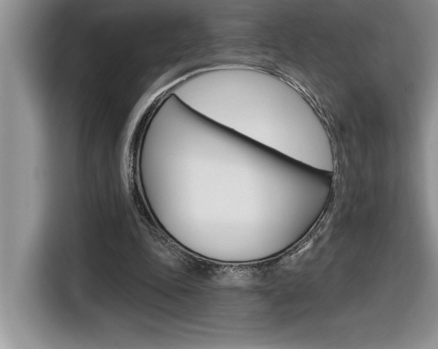X0000116590343200912101337
