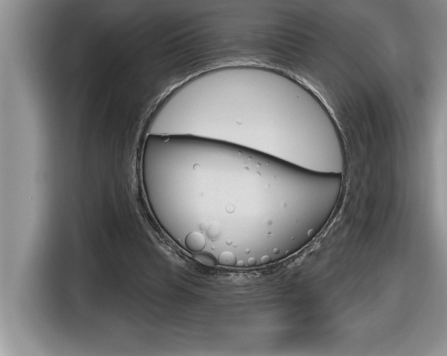 X0000116590345200912101337