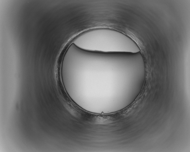 X0000116590346200912101337
