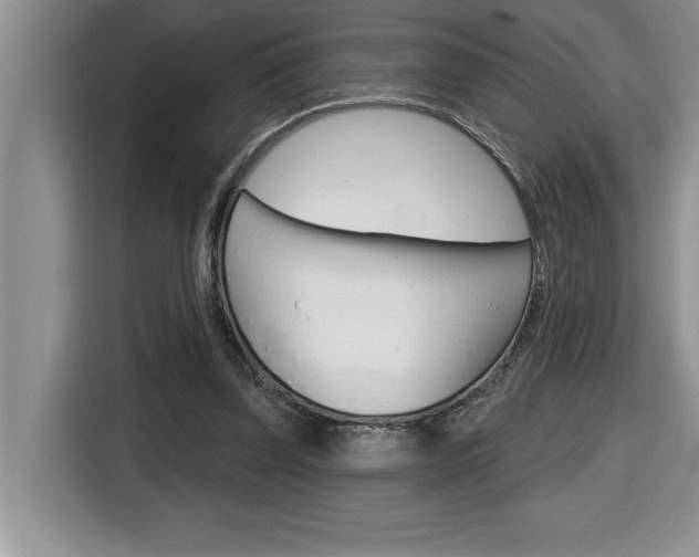 X0000116590347200912101337